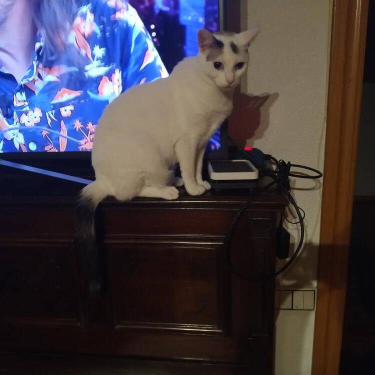 Foto de perfil