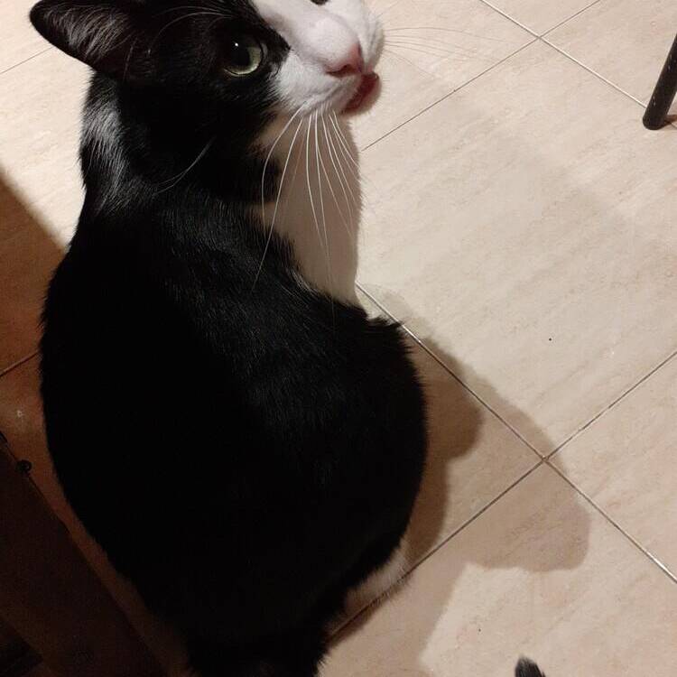 Foto de perfil