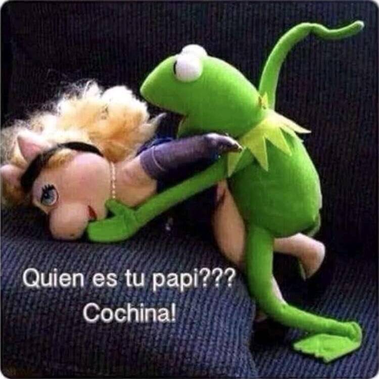 Foto de perfil de Dora