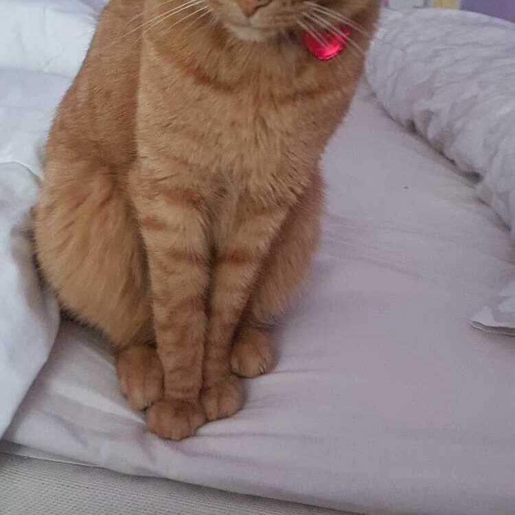 Foto de perfil