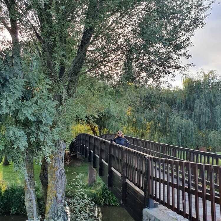 Foto de perfil