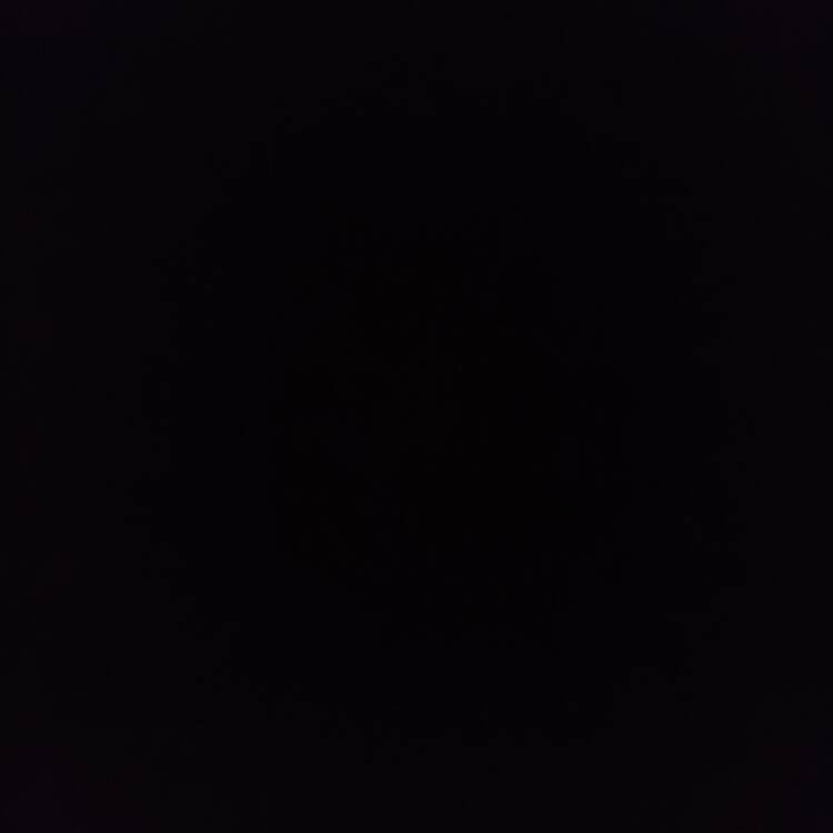 Foto de perfil de Mariano