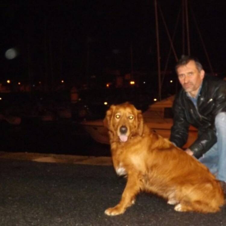 Foto de perfil
