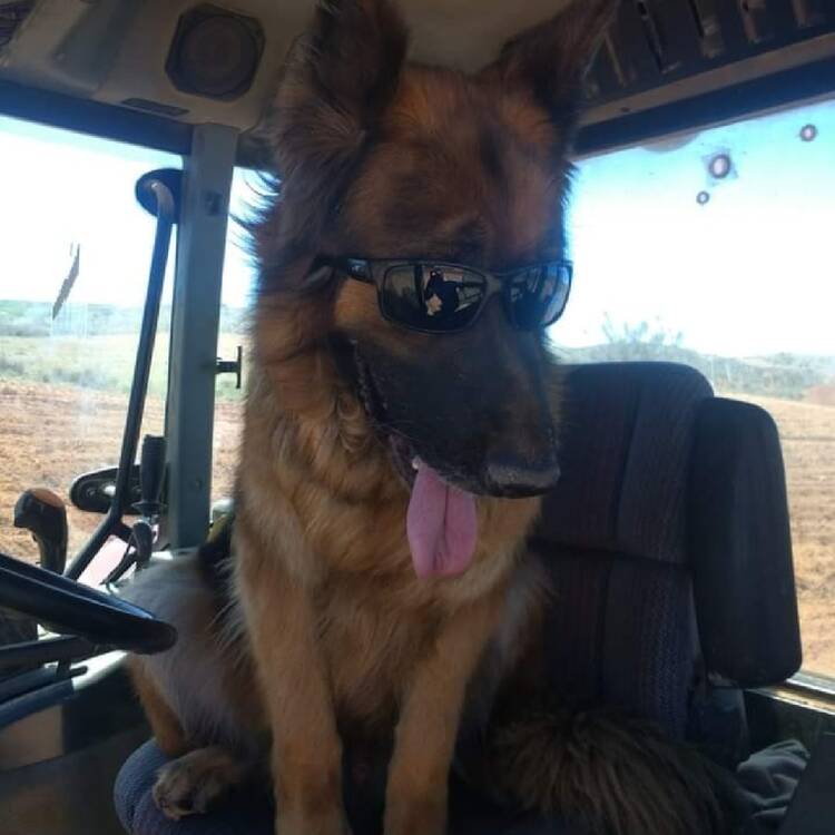 Foto de perfil