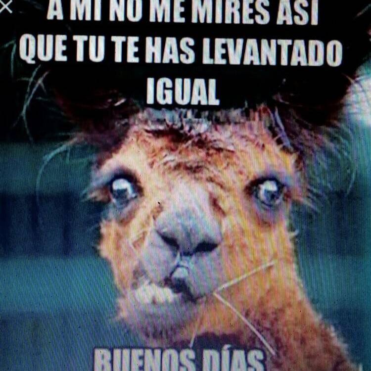 Foto de perfil