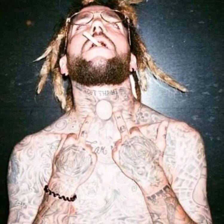 Foto de perfil de Sean