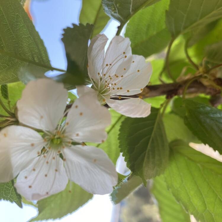 Foto de perfil de Ana