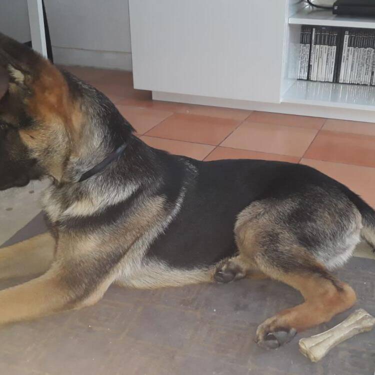Foto de perfil