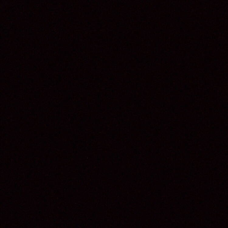 Foto de perfil de Paola