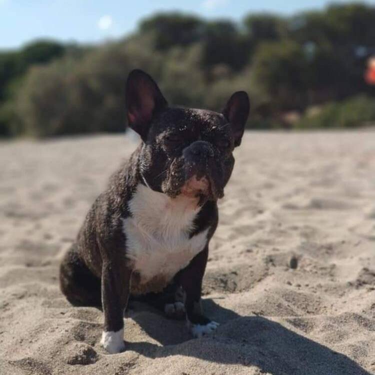 Foto de perfil