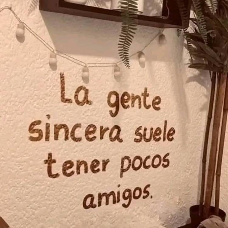 Foto de perfil de Jose