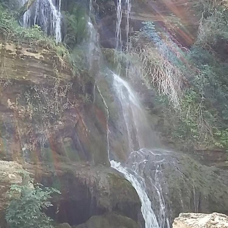 Foto de perfil de jesus