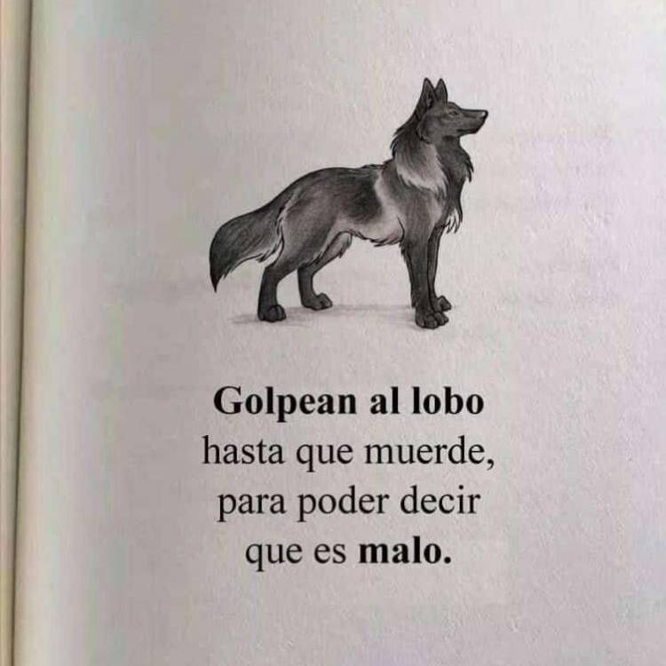 Foto de perfil de Zana