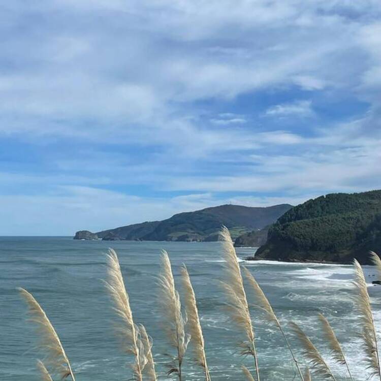 Foto de perfil de conchi
