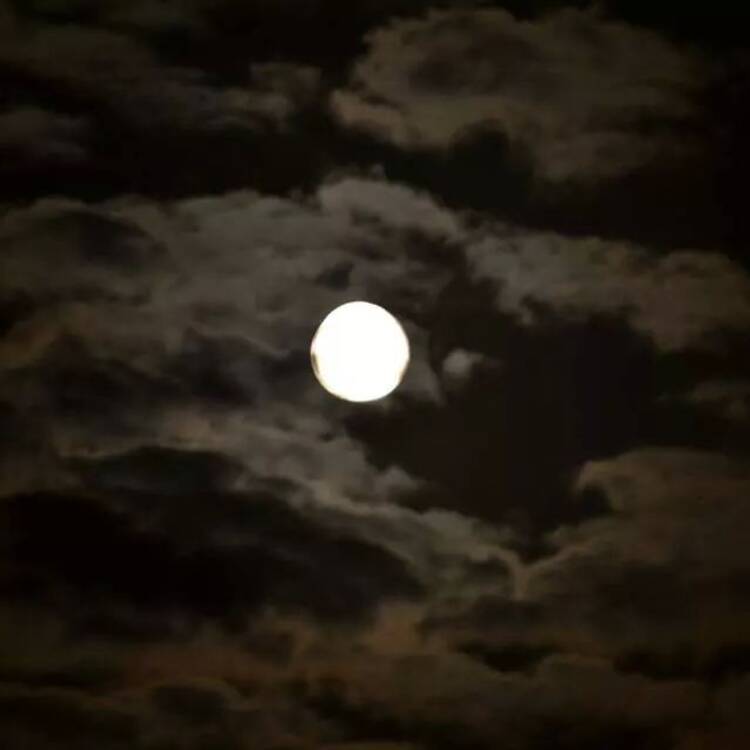 Foto de perfil de Luna
