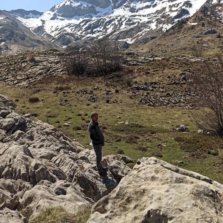 Foto de perfil