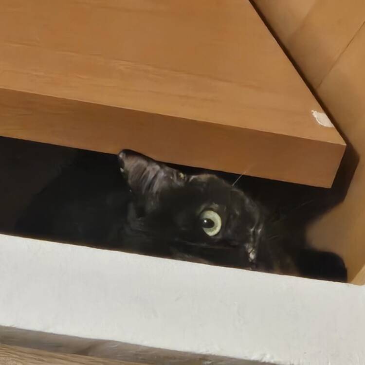 Foto de perfil de Beatriz