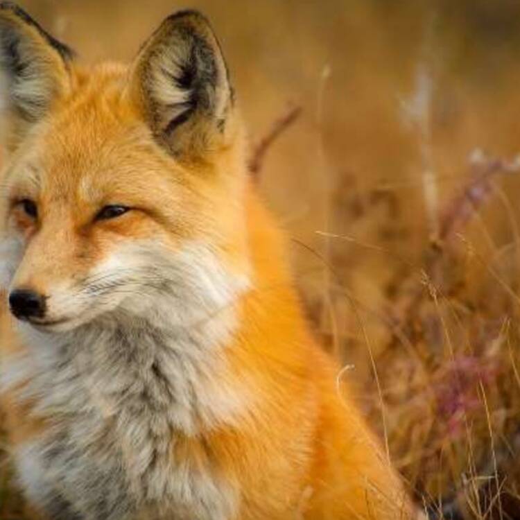 Foto de perfil de Peter22