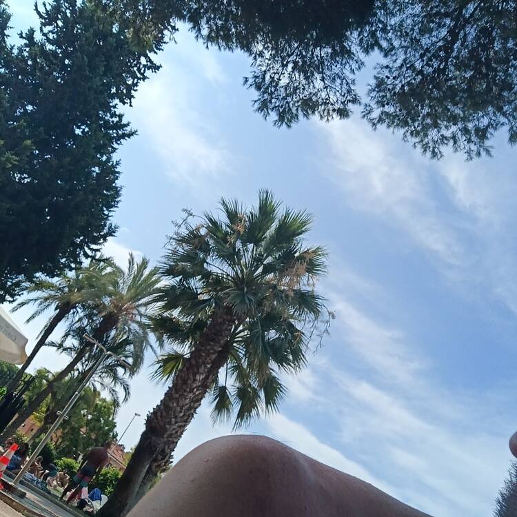 Foto de perfil de Aitor