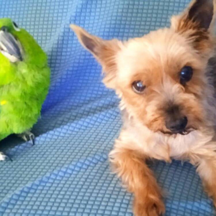 Foto de perfil