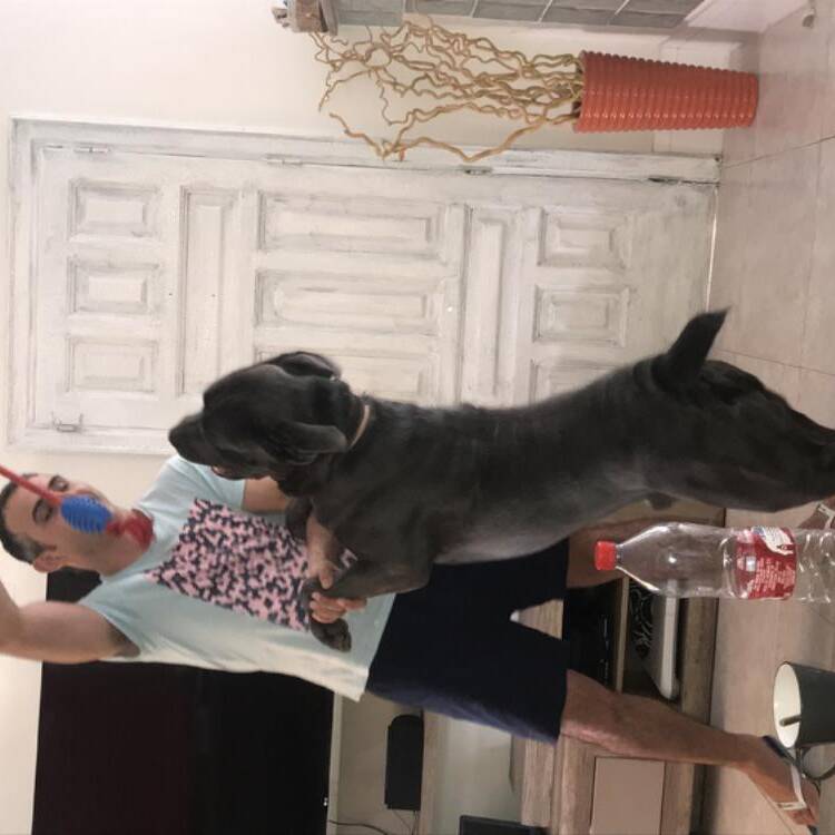 Foto de perfil