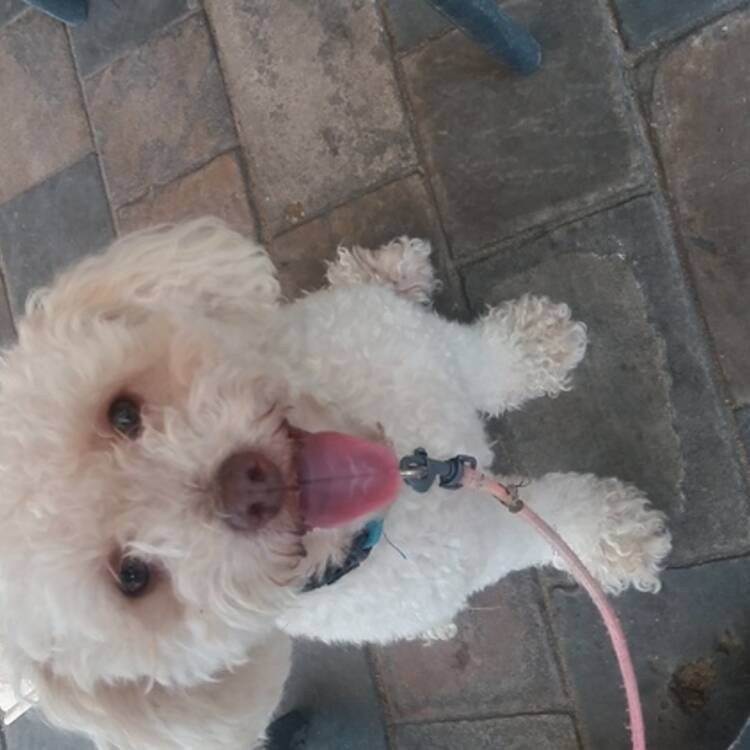 Foto de perfil