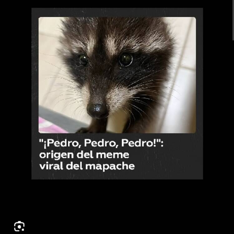 Foto de perfil de Inés