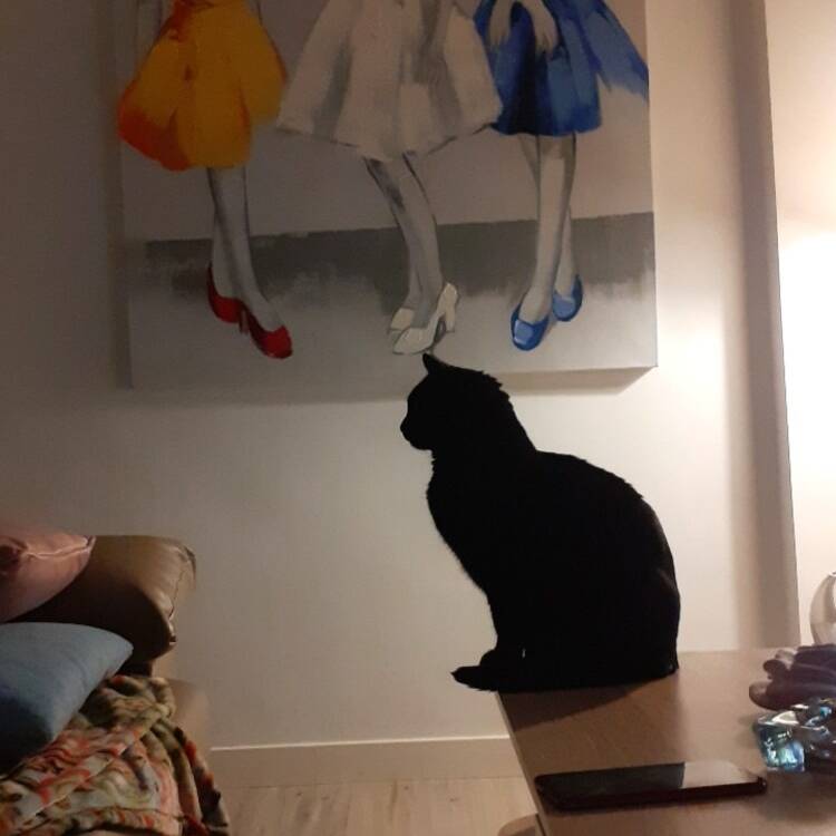 Foto de perfil