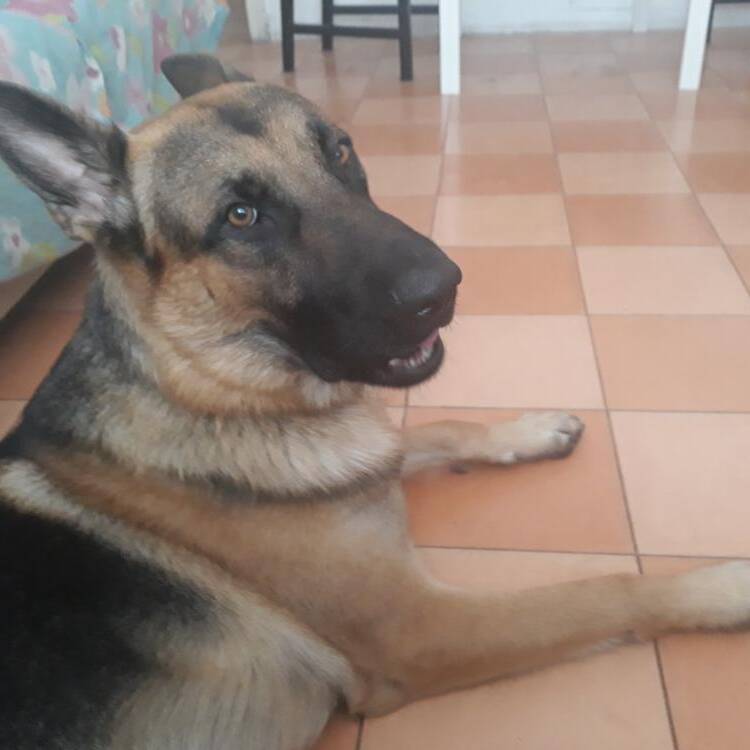 Foto de perfil