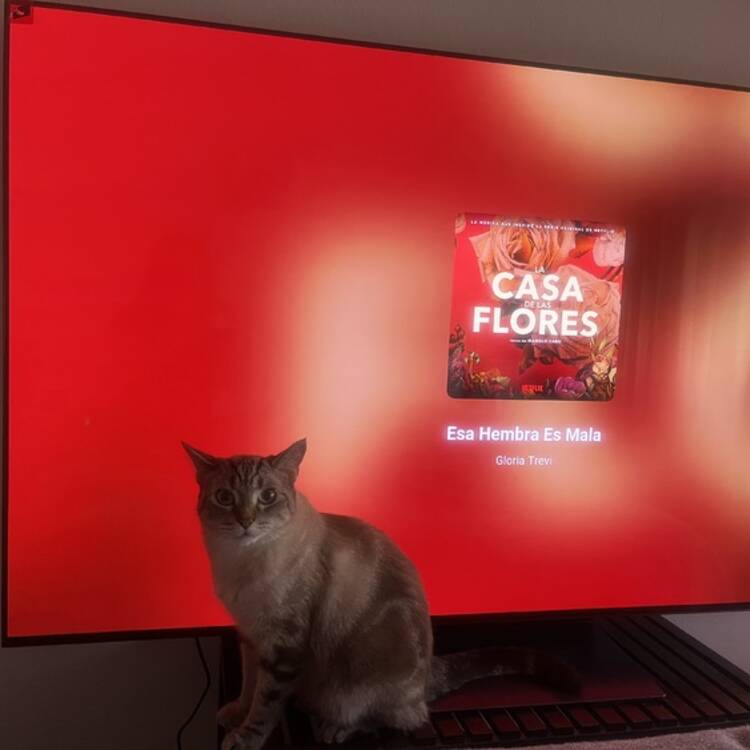 Foto de perfil de Karla