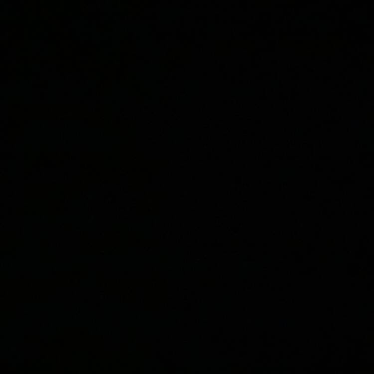 Foto de perfil de Betsy