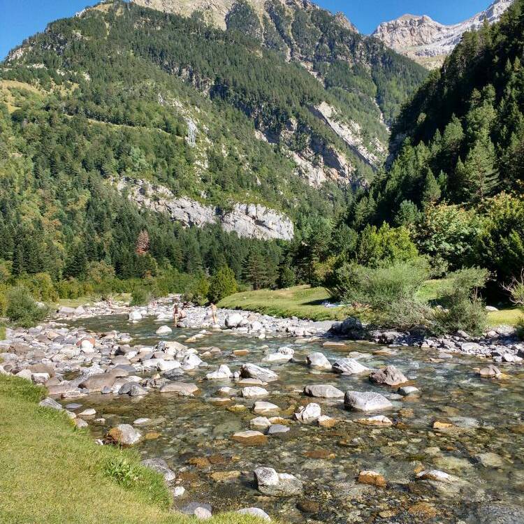 Foto de perfil de Rosazgz