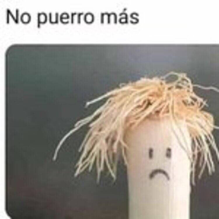 Foto de perfil de A