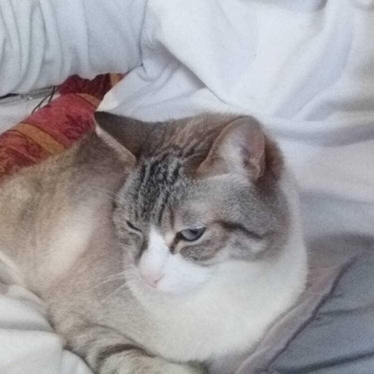 Foto de perfil de mary