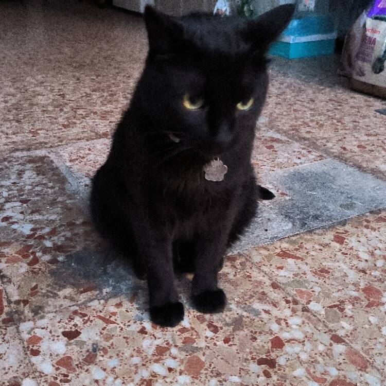 Foto de perfil de JP