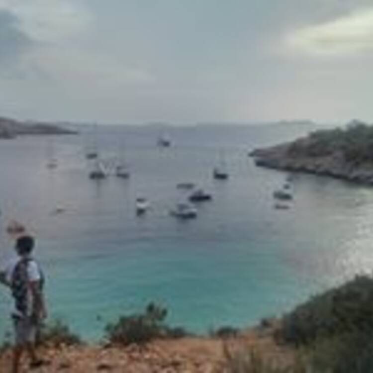Foto de perfil de Luis Gisbert