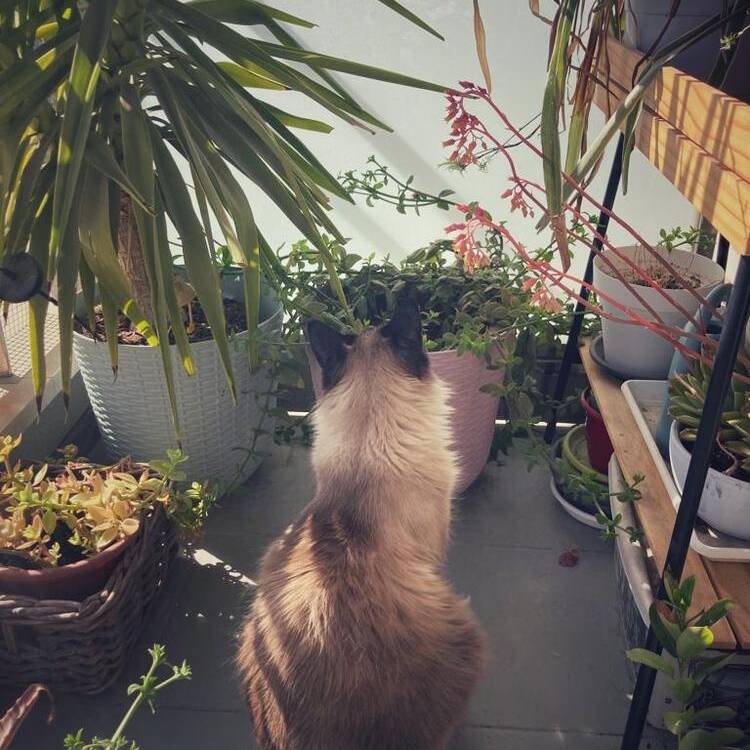 Foto de perfil