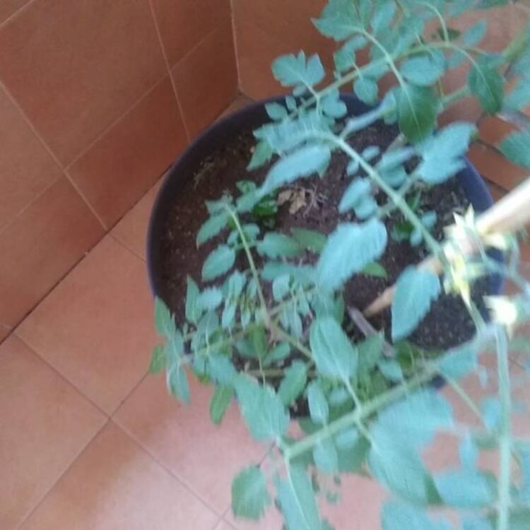 Foto de perfil de Ana