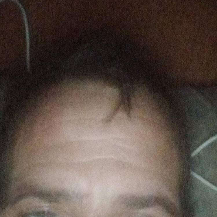 Foto de perfil de Jose luis