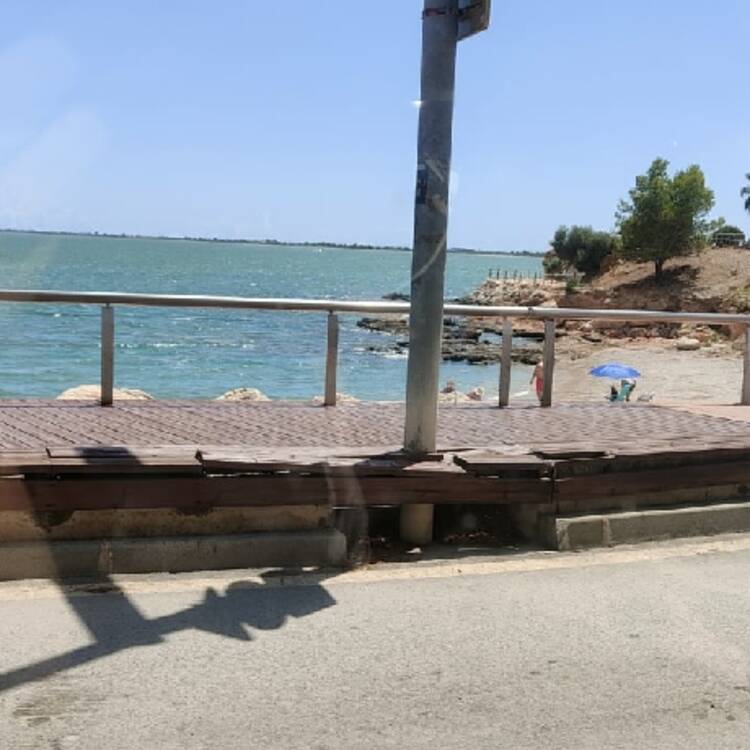 Foto de perfil de Guillermo
