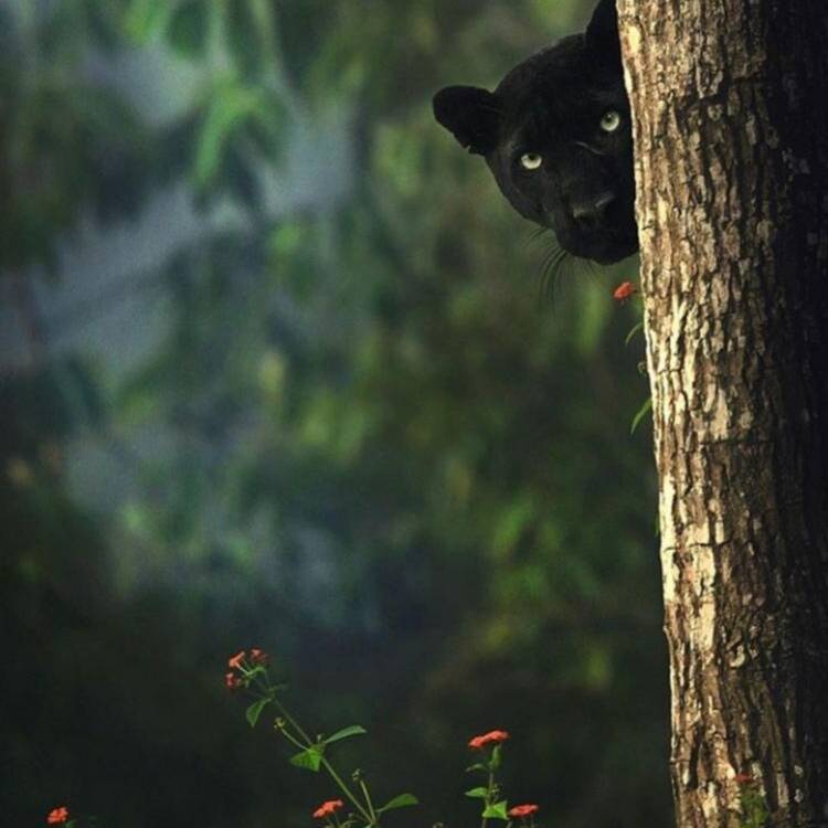 Foto de perfil de Cristina