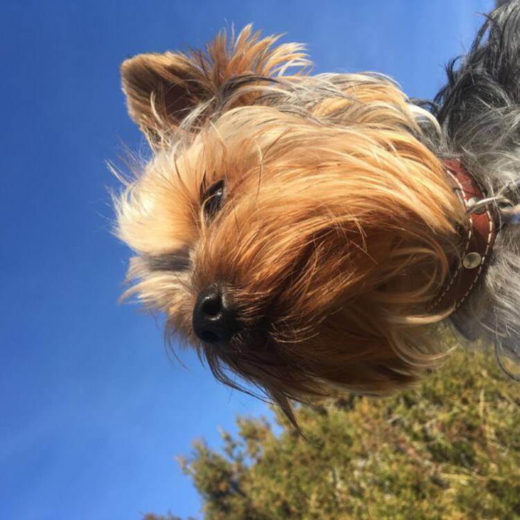 Foto de perfil de cristina