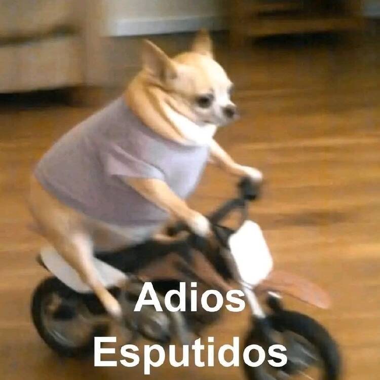 Foto de perfil de Andrés