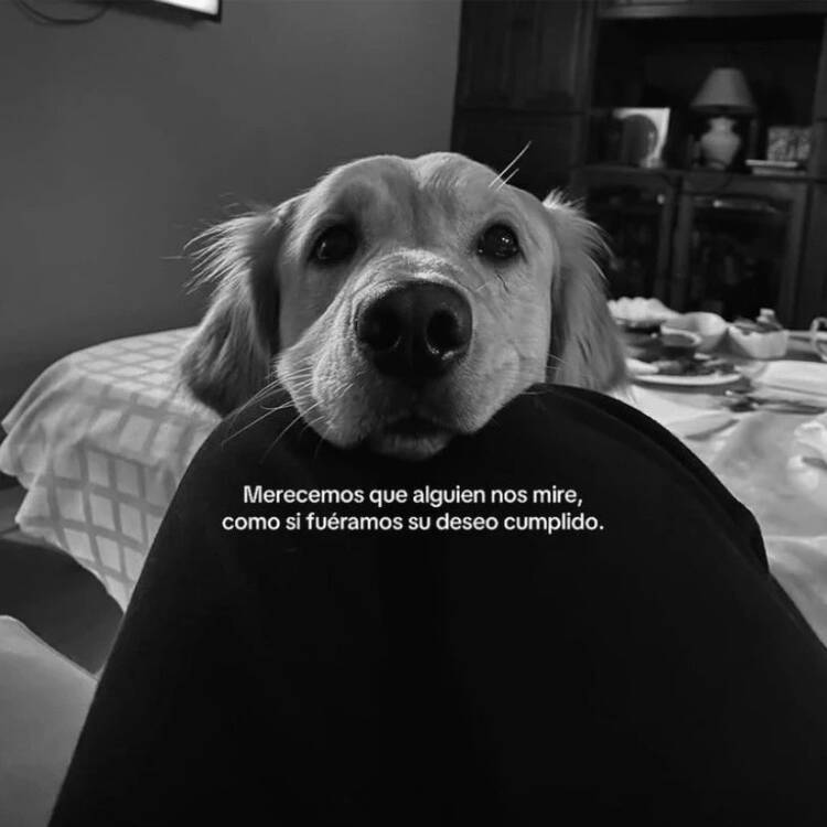 Foto de perfil