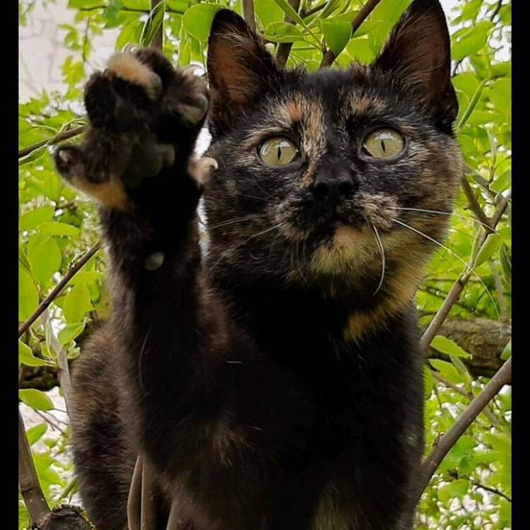 Foto de perfil de Elena
