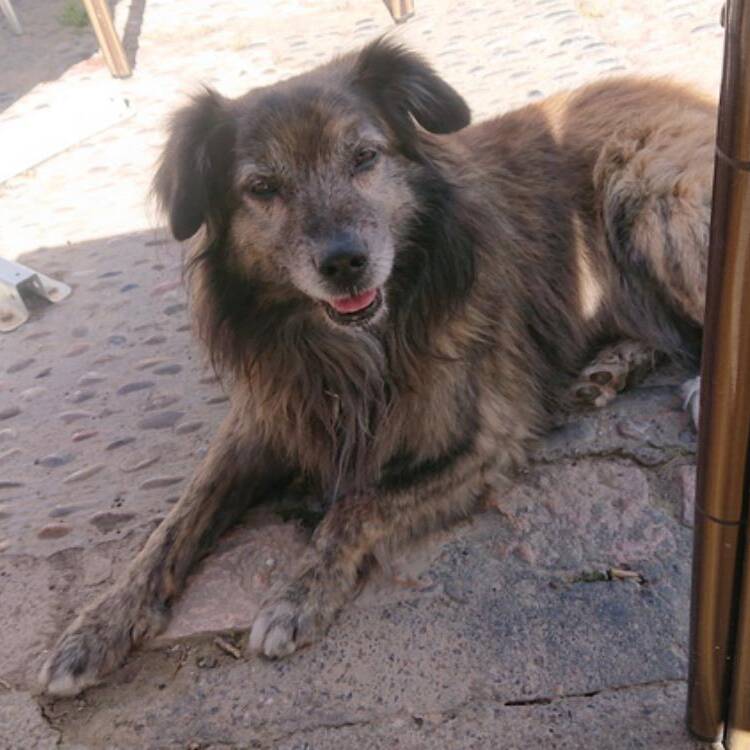 Foto de perfil de Fran