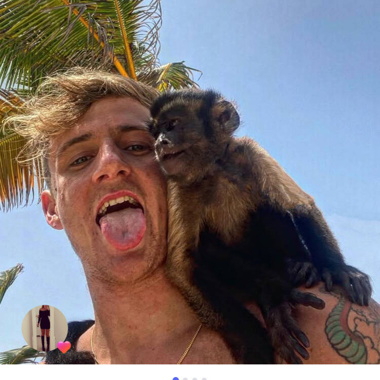 Foto de perfil de Alessio