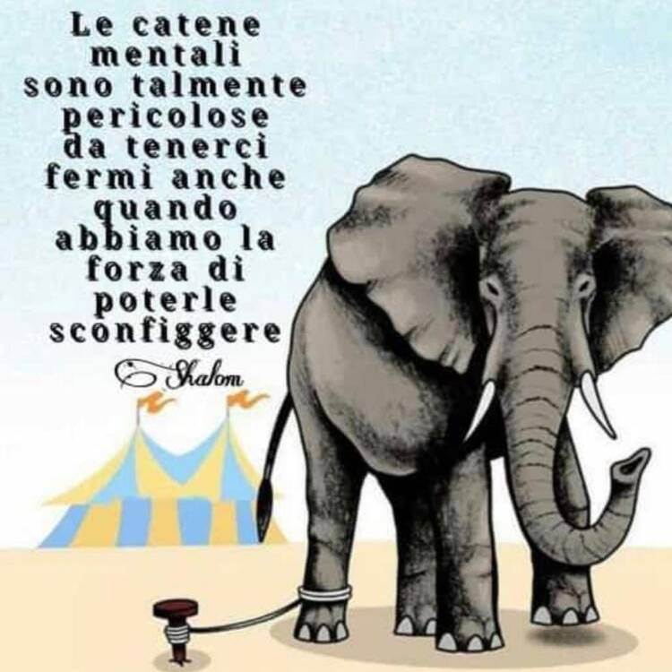 Foto de perfil de santi