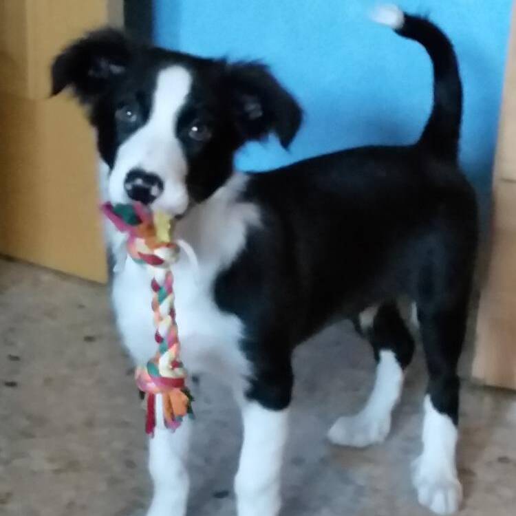 Foto de perfil de Daniel