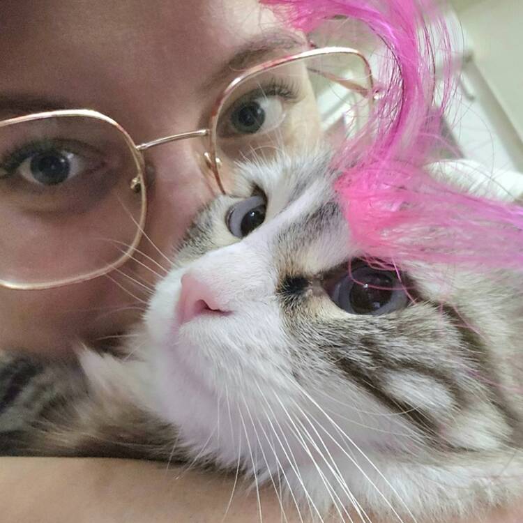 Foto de perfil